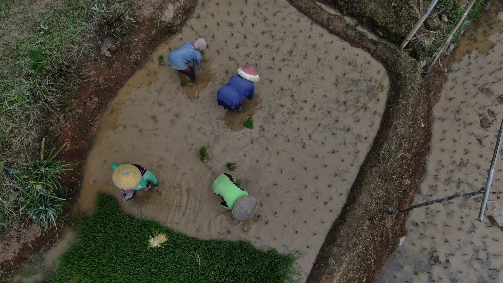 Interaksi dengan petani lokal di Lembur Geulis