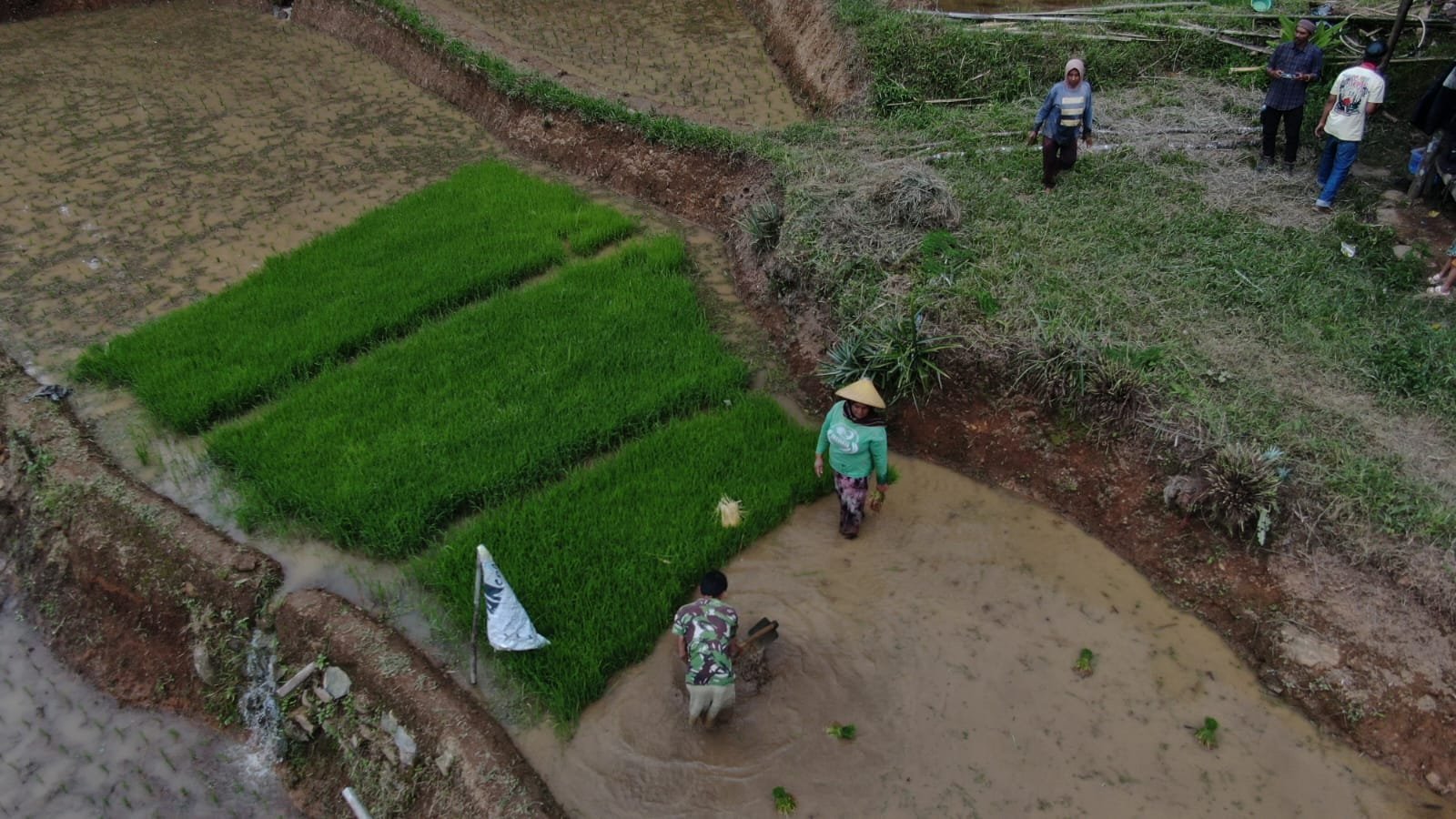 Aktivitas menanam di Lembur Geulis