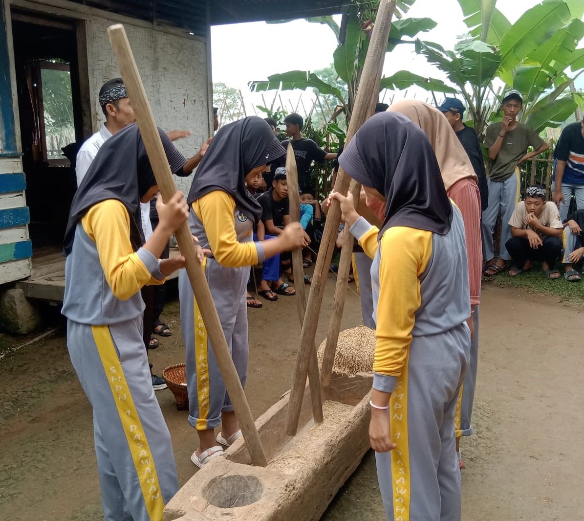 Kegiatan nutu beas di lesung kayu